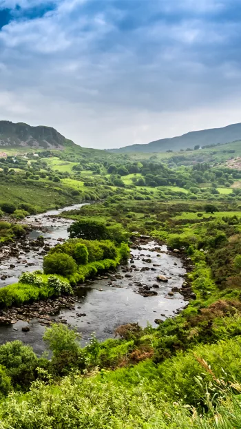 A view of Kerry and the swampland surrounding the river Carragh.