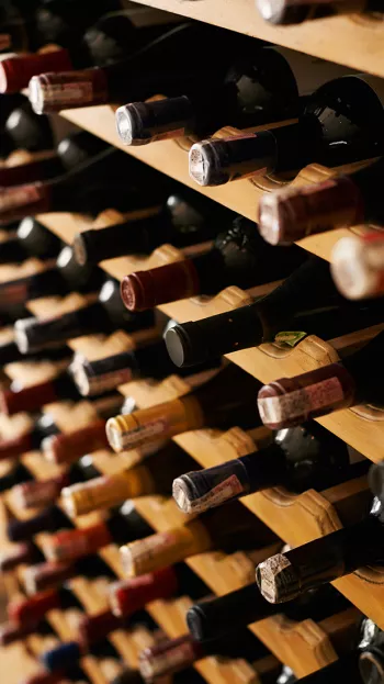 Bottles of wine line the wine racks in a cellar.