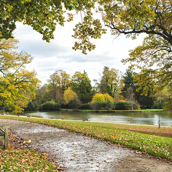 Autumn leaves fall on a canalside path in Royal Tunbridge Wells.