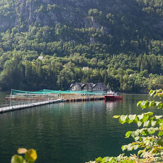 A side view of a swedish salmon farm on a fjord.