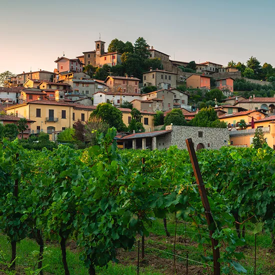 A view of the small town of Corte Lantieri, with rows of vineyards in the foreground.