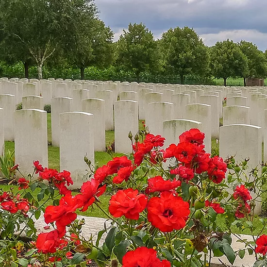 Poppies adorn the foreground at a WW1 Memorial.