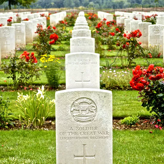Rows of graves of fallen soldiers in Amiens, with poppy flowers blooming beside them.